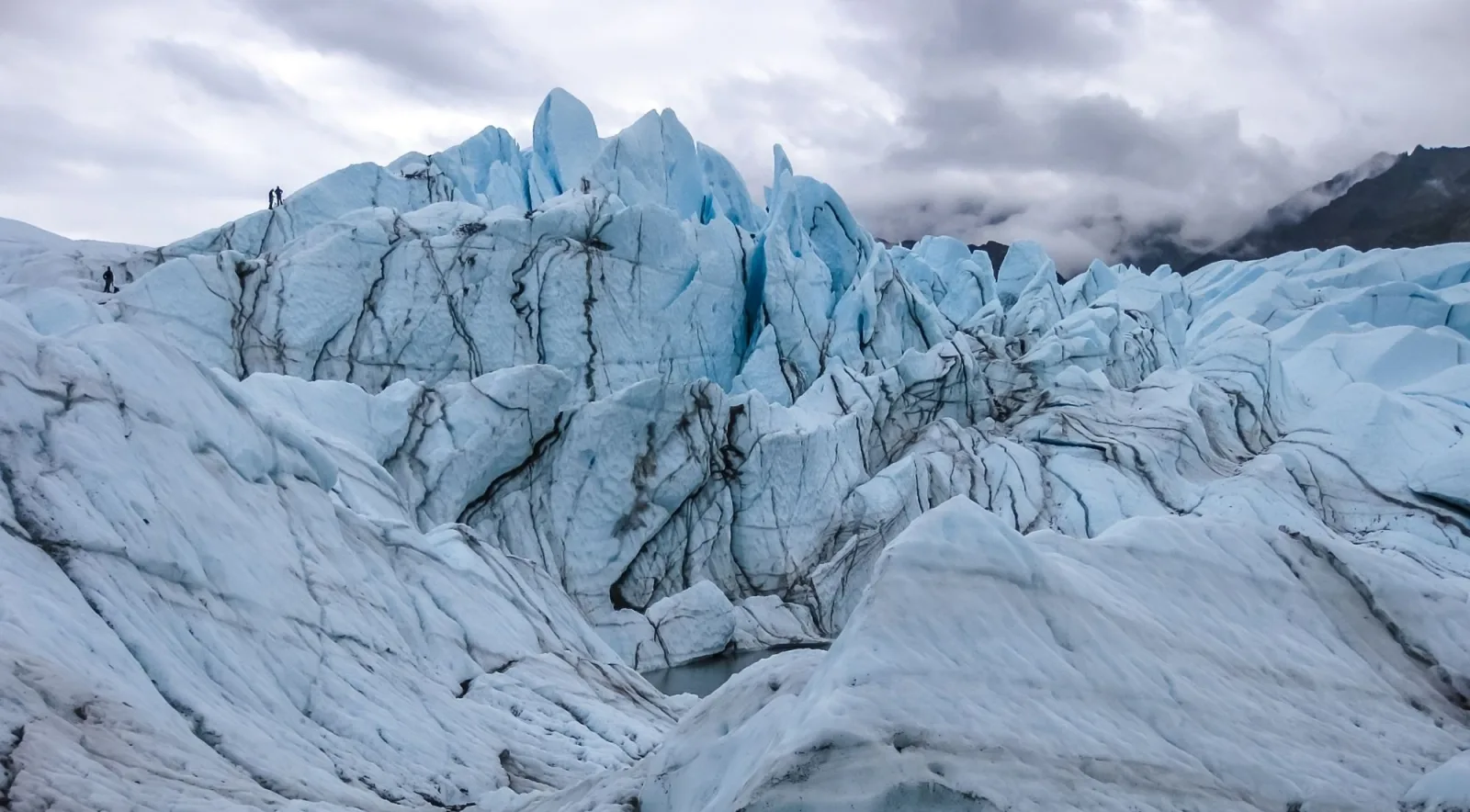 Two tiny hikers on the crest of the Matanuska Glacier's crevassed ice