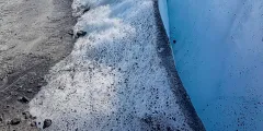 Guest photo from review